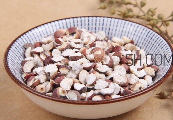 如何選購芡實？茨實和芡實是一種東西嗎