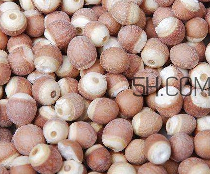 芡實是中藥嗎？芡實哪里可以買到