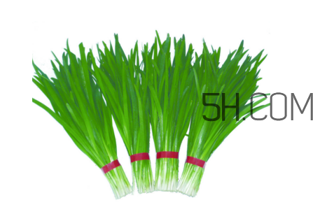 如何鑒別毒韭菜？吃野韭菜的營(yíng)養(yǎng)價(jià)值