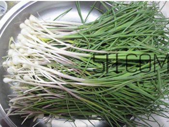 如何鑒別毒韭菜？吃野韭菜的營(yíng)養(yǎng)價(jià)值