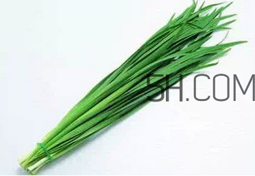 立秋后可以種韭菜嗎？怎樣種韭菜？