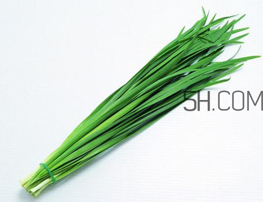 秋天吃韭菜好嗎？韭菜和莧菜能一起吃嗎？