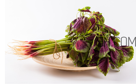 秋天吃韭菜好嗎？韭菜和莧菜能一起吃嗎？