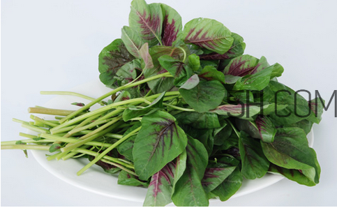 莧菜為什么是紅的？莧菜是涼性的嗎？