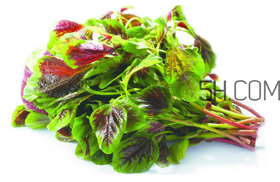 莧菜為什么是紅的？莧菜是涼性的嗎？