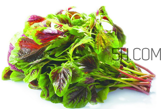 莧菜是酸性還是堿性？吃莧菜有什么好處？