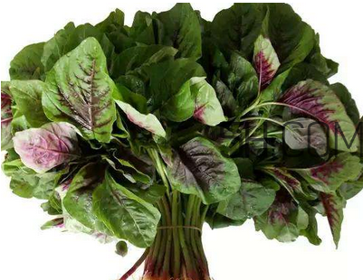 莧菜是酸性還是堿性？吃莧菜有什么好處？