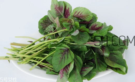 上火能吃咸莧菜嗎？寶寶能吃莧菜嗎？