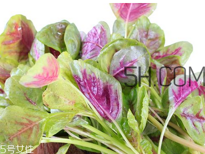 上火能吃咸莧菜嗎？寶寶能吃莧菜嗎？