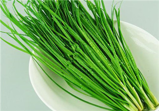 立秋后可以種韭菜嗎？怎樣種韭菜？