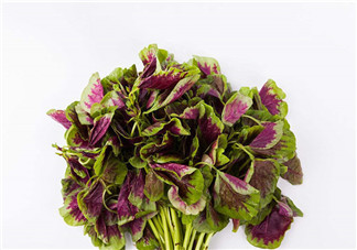 上火能吃咸莧菜嗎？寶寶能吃莧菜嗎？