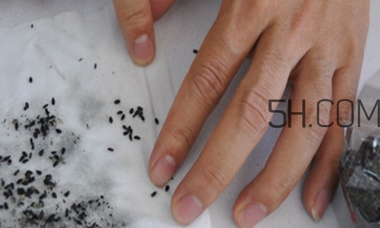 黑芝麻清洗掉色正常嗎？黑芝麻有黑色素嗎？