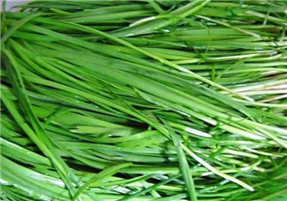 秋天吃韭菜好嗎？韭菜和莧菜能一起吃嗎？