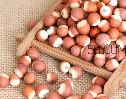 芡實營養(yǎng)價值有哪些？芡實哪里的最好