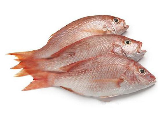鯛魚(yú)多少錢(qián)一斤？鯛魚(yú)魚(yú)骨有什么營(yíng)養(yǎng)價(jià)值