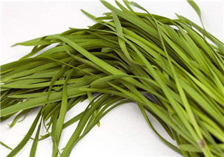 吃韭菜胃疼怎么回事？吃韭菜要注意的禁忌問題