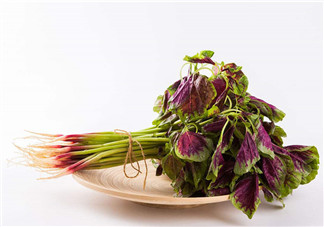 莧菜為什么是紅的？莧菜是涼性的嗎？