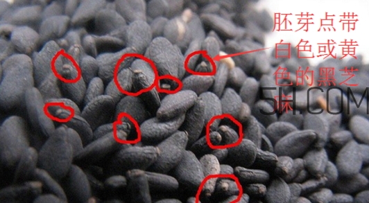 黑芝麻清洗掉色正常嗎？黑芝麻有黑色素嗎？