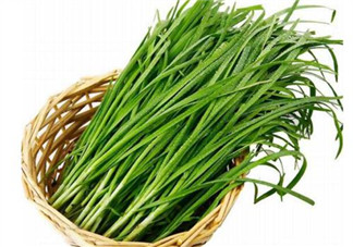 韭菜種植條件有哪些？韭黃和韭菜的區(qū)別