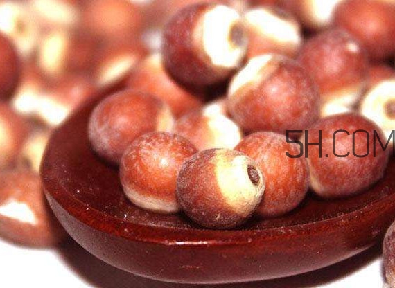 芡實營養(yǎng)價值有哪些？芡實哪里的最好