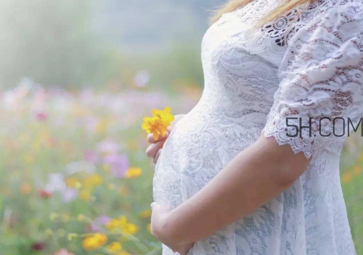 孕酮是什么？孕酮是黃體酮嗎？