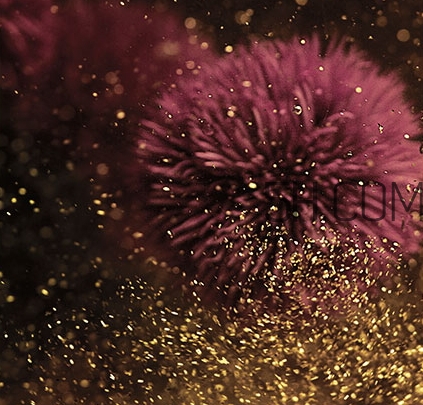 海藍之謎鎏金精華怎么用？海藍之謎鎏金精華使用心得