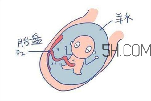 怎么防止羊水早破？羊水早破的危害