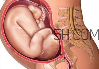 什么情況下需要剖腹產(chǎn) 剖腹產(chǎn)最全科普 什么情況下需要剖腹產(chǎn) 剖腹產(chǎn)最全科普