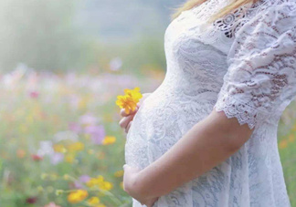 孕酮是什么？孕酮是黃體酮嗎？