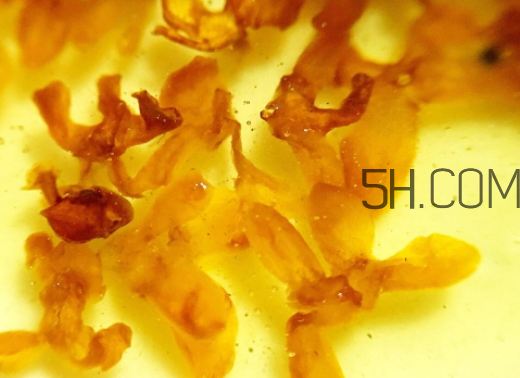 糖桂花可以泡茶喝嗎 糖桂花可以用來(lái)泡水嗎 糖桂花可以泡茶喝嗎 糖桂花可以用來(lái)泡水嗎