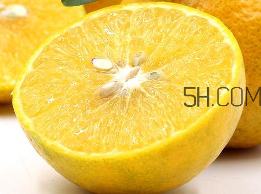 沙糖桔好還是貢柑好？貢柑屬于桔子還是橙子