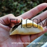 餃子和面用熱水還是冷水？餃子和面要醒多長時(shí)間？