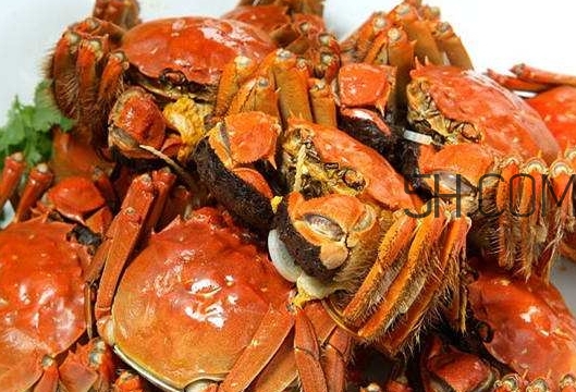 孕婦吃螃蟹多久流產(chǎn)？孕婦吃多少螃蟹會(huì)流產(chǎn)？