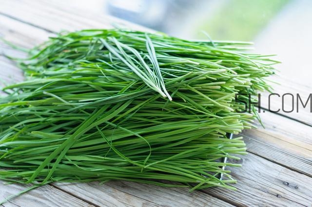 怎么包餃子快又好看？十種家常包餃子的方法~