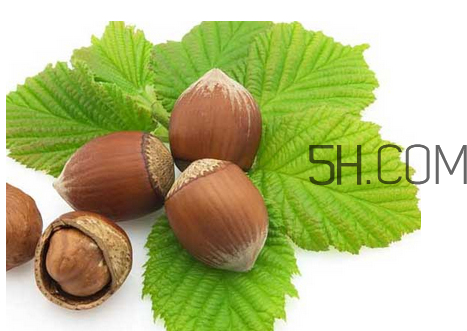 榛子可以用烤箱烤嗎？用烤箱烤榛子怎么烤？