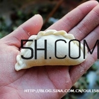 怎么包餃子快又好看？十種家常包餃子的方法~