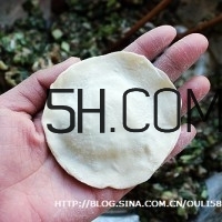 怎么包餃子快又好看？十種家常包餃子的方法~