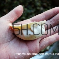 餃子和面用熱水還是冷水？餃子和面要醒多長時(shí)間？