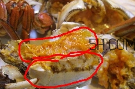 螃蟹的屎在哪里？螃蟹的屎和蟹黃怎么分辨？