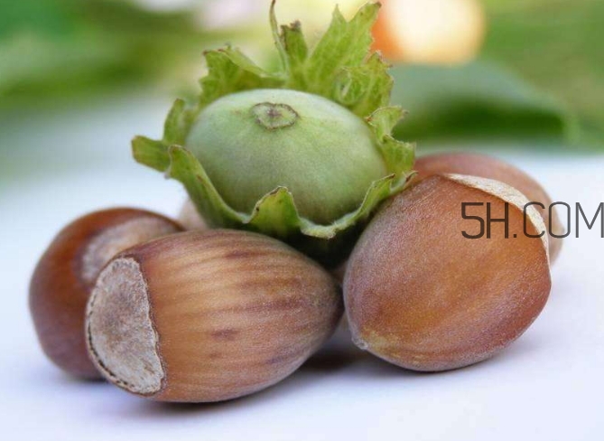 榛子生吃好還是熟吃好？榛子怎么吃營養(yǎng)價值高？