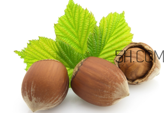 榛子的皮可以吃嗎？榛子的皮怎么處理？