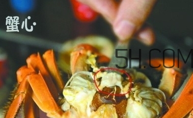 螃蟹的屎在哪里？螃蟹的屎和蟹黃怎么分辨？