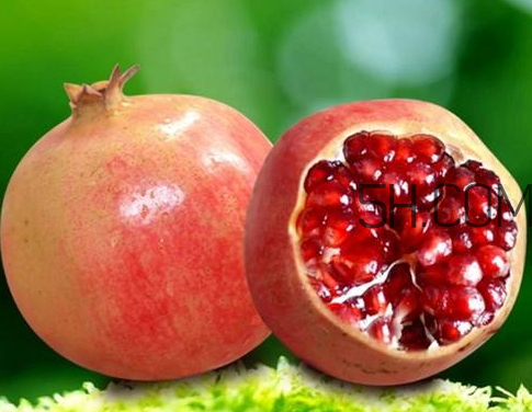 軟籽石榴哪里的好 軟籽石榴哪個品種好 軟籽石榴哪里的好 軟籽石榴哪個品種好