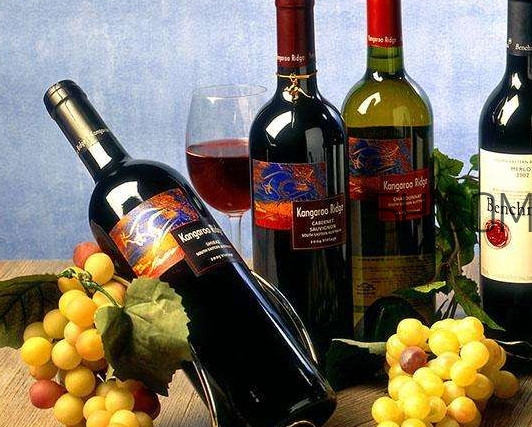 小孩能不能喝葡萄酒？高血糖能不能喝葡萄酒