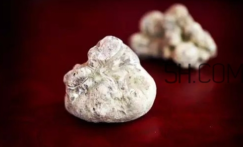 白松露一公斤多少錢？白松露到底有多貴有多好呢