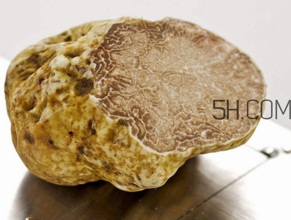 白松露一公斤多少錢？白松露到底有多貴有多好呢