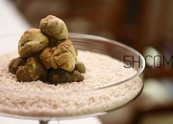 白松露一公斤多少錢？白松露到底有多貴有多好呢