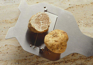 白松露一公斤多少錢？白松露到底有多貴有多好呢