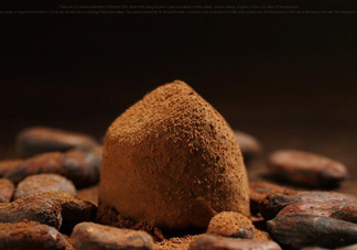 松露巧克力哪個(gè)牌子好？松露巧克力多少錢一盒