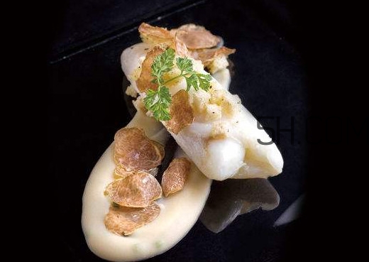 白松露是什么？白松露的功效與作用